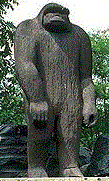 bigfoot.gif (10831 bytes)