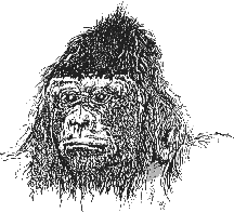 bigfoot3.gif (10713 bytes)